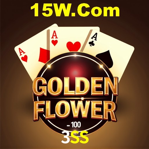 Interface Premium 3SS